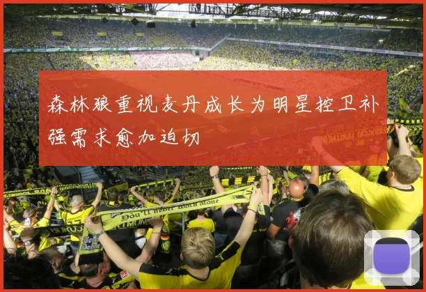 森林狼重视麦丹成长为明星控卫补强需求愈加迫切