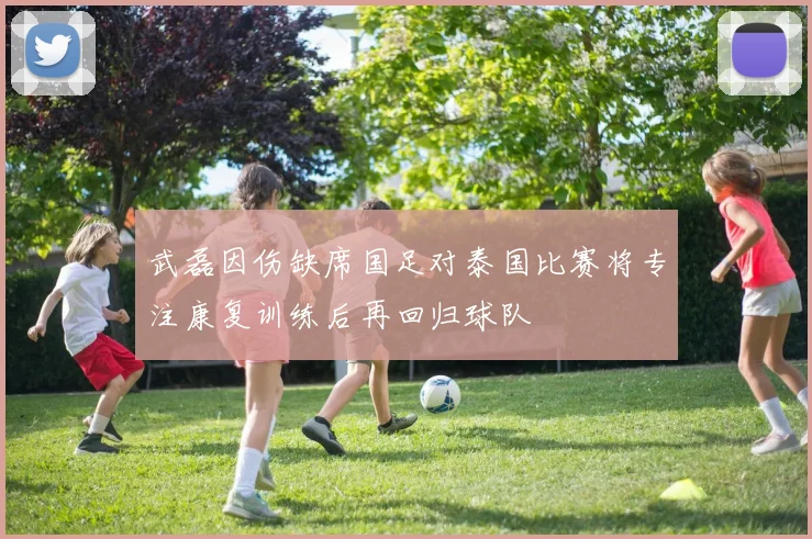 武磊因伤缺席国足对泰国比赛将专注康复训练后再回归球队